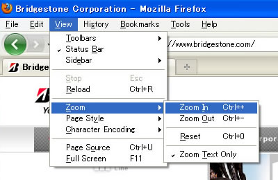 Mozilla Firefox (Windows)